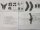 4343+A853/ Silence S01 Windschild hoch, Farbe transparent, inkl. Montageset für S01/MO, H=710mm x B=400mm, 3mm